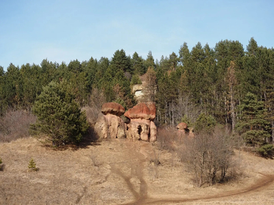 Тропа Косыгина — живописная прогулка в Кисловодском парке