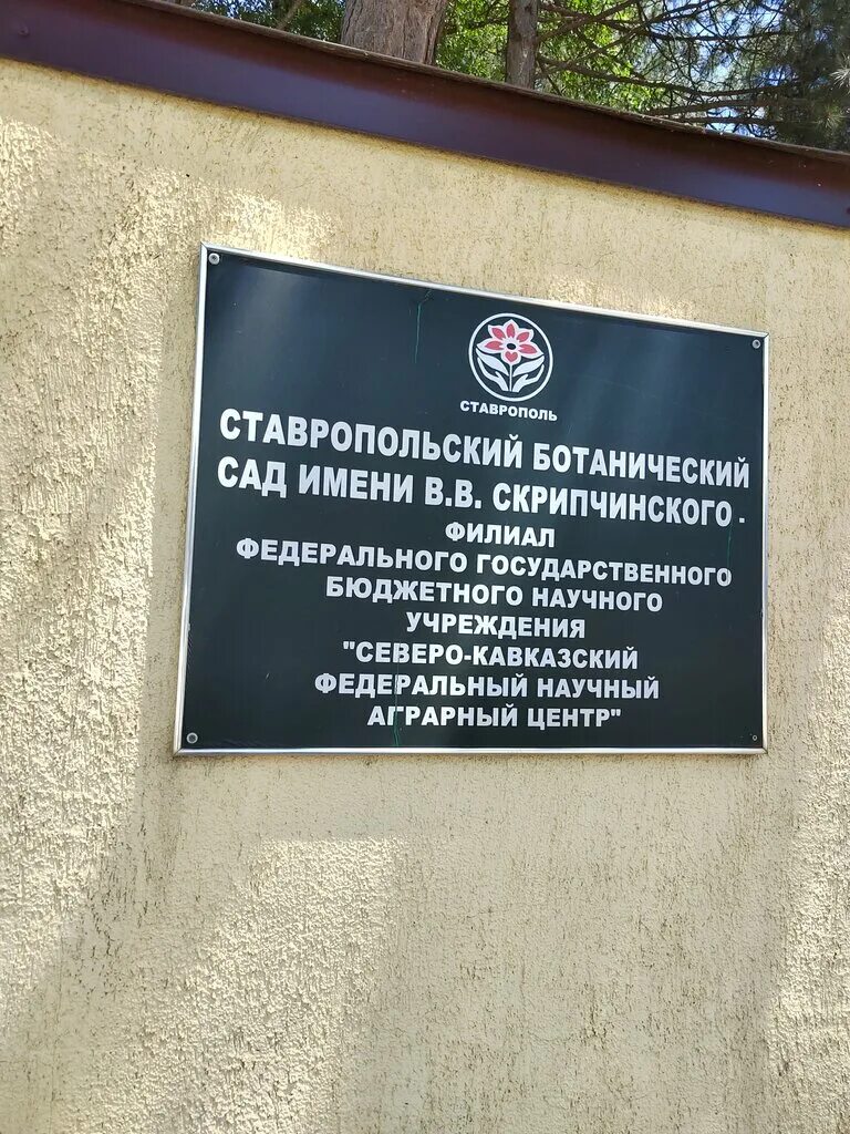 Ставропольский ботанический сад имени В.В. Скрипчинского: история, коллекции и возможности для посетителей