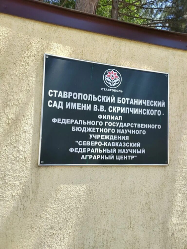 Ставропольский ботанический сад имени В.В. Скрипчинского: история, коллекции и возможности для посетителей