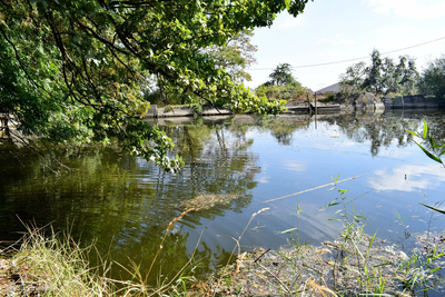 Павлова дача в Ставрополе: история и современное состояние урочища