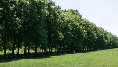 Новая экологическая тропа появится на Вишнёвой поляне к 2027 году в Ставропольском крае