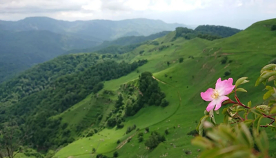 Перевал Гумбаши: идеальный автомаршрут одного дня с видом на Эльбрус