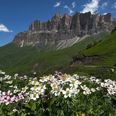 Перевал Курнаят: идеальный вариант для одного дневного джип-тура