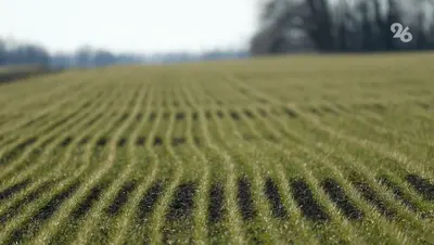 Финансирование мелиорации в Ставрополье в 2026 году — почти 988 млн рублей