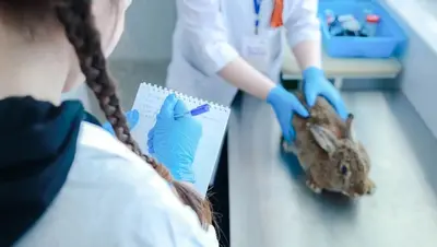 Финал олимпиады «Я — профессионал» по «Ветеринарии и зоотехнии» прошёл в Ставрополе