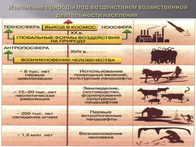 География 7 класс Евразия. Изменение природы под влиянием хозяйственной деятельности человека
