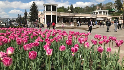 Три выходных дня ждут ставропольцев на следующей неделе