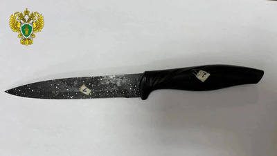 Ставропольчанку, ударившую соперницу ножом в живот, осудили на 2,5 года