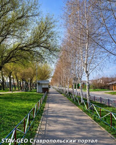 Раннее утро в аллеях «Гармонии»: весна только начинается