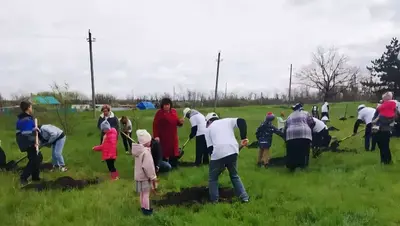 В Нижней Александровке высадили «Сад памяти» у храма Александра Невского