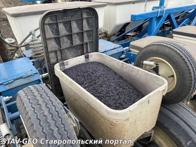 На Ставрополье стартовал сев подсолнечника на 257,8 тыс. га