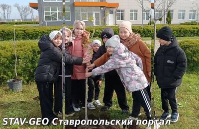 В школе высадили тополя в рамках акции «Сад памяти»