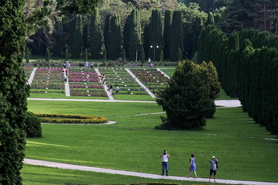 Долина роз в Кисловодске: самый ароматный уголок Курортного парка