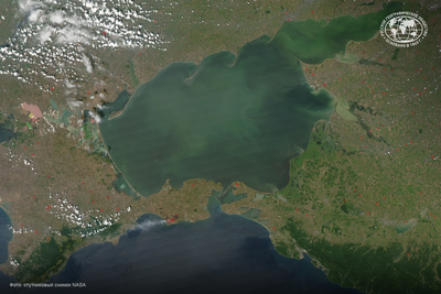 Азовское море превращается в залив Чёрного моря: учёные выяснили, почему это происходит