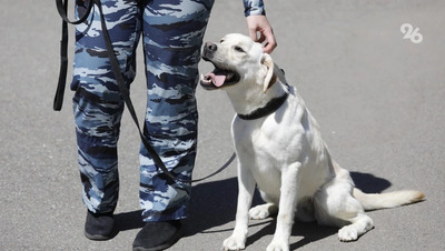 Угрозы о минировании объектов в Минводах 28 апреля оказались ложными