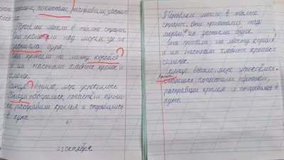 Мизулина пожаловалась на оценки и ошибки в тетрадях в Предгорном округе