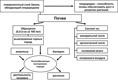 География 6 класс Почва, её строение и состав
