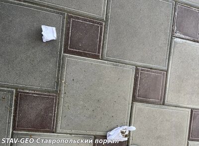 Судебные приставы задержали посетителя суда с наркотиками