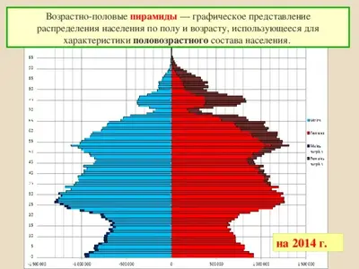 География 8 класс Половой и возрастной состав населения России