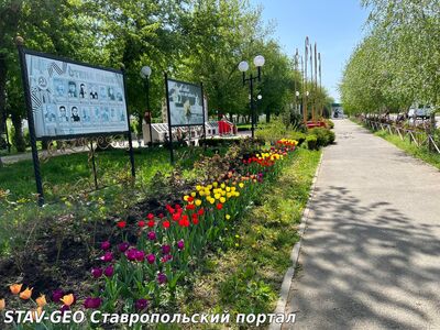 9 мая в районе Гармония: семьи жителей почтили память героев