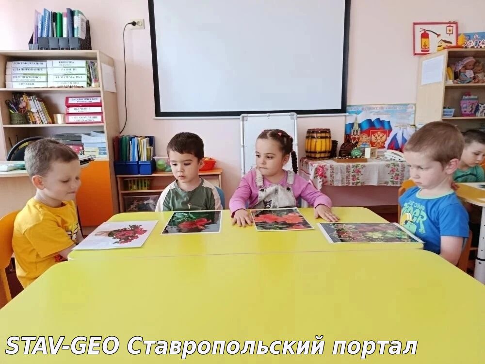 Детский сад №34 Знакомимся с комнатными растениями