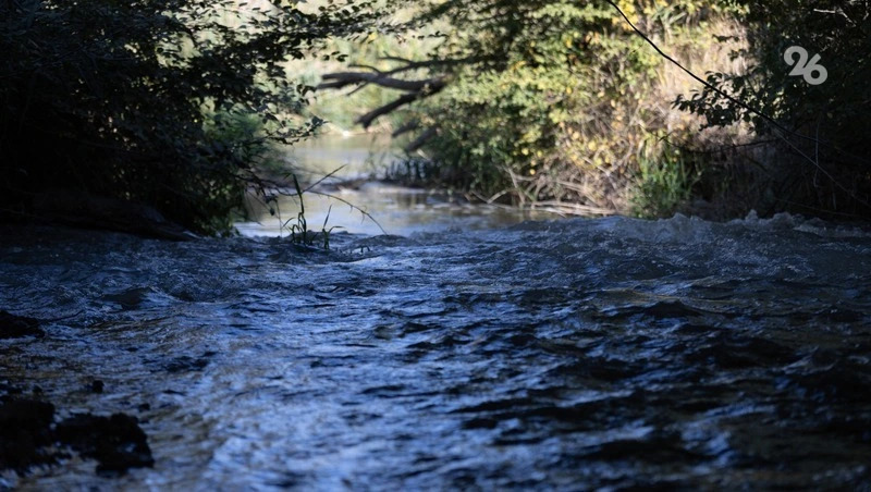 Вода в Куме на Ставрополье поднялась до неблагоприятного уровня в 1,79 м