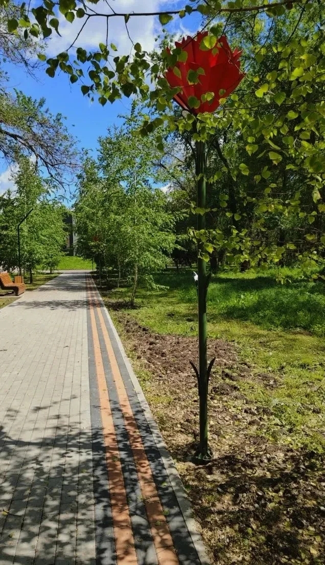 В Труновском округе завершились работы по созданию Аллеи Памяти