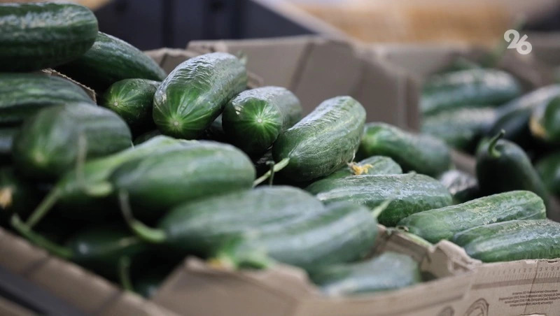 Пять продуктовых ярмарок пройдут в Ставрополе до конца недели