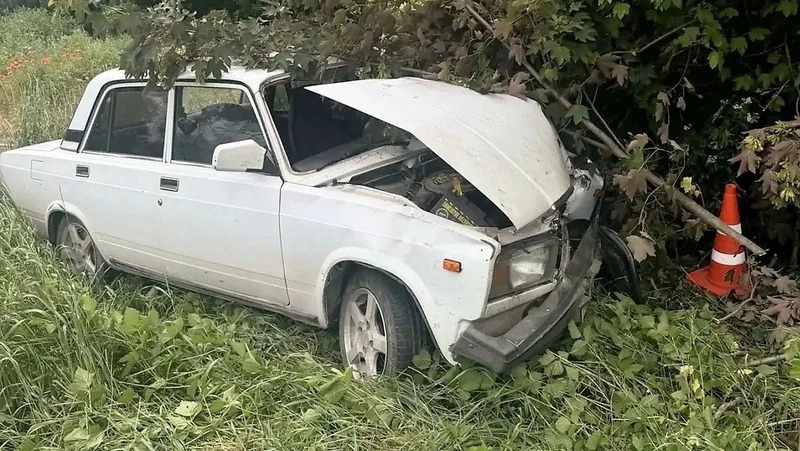 В Предгорье «семёрка» под управлением начинающего водителя врезалась в дерево