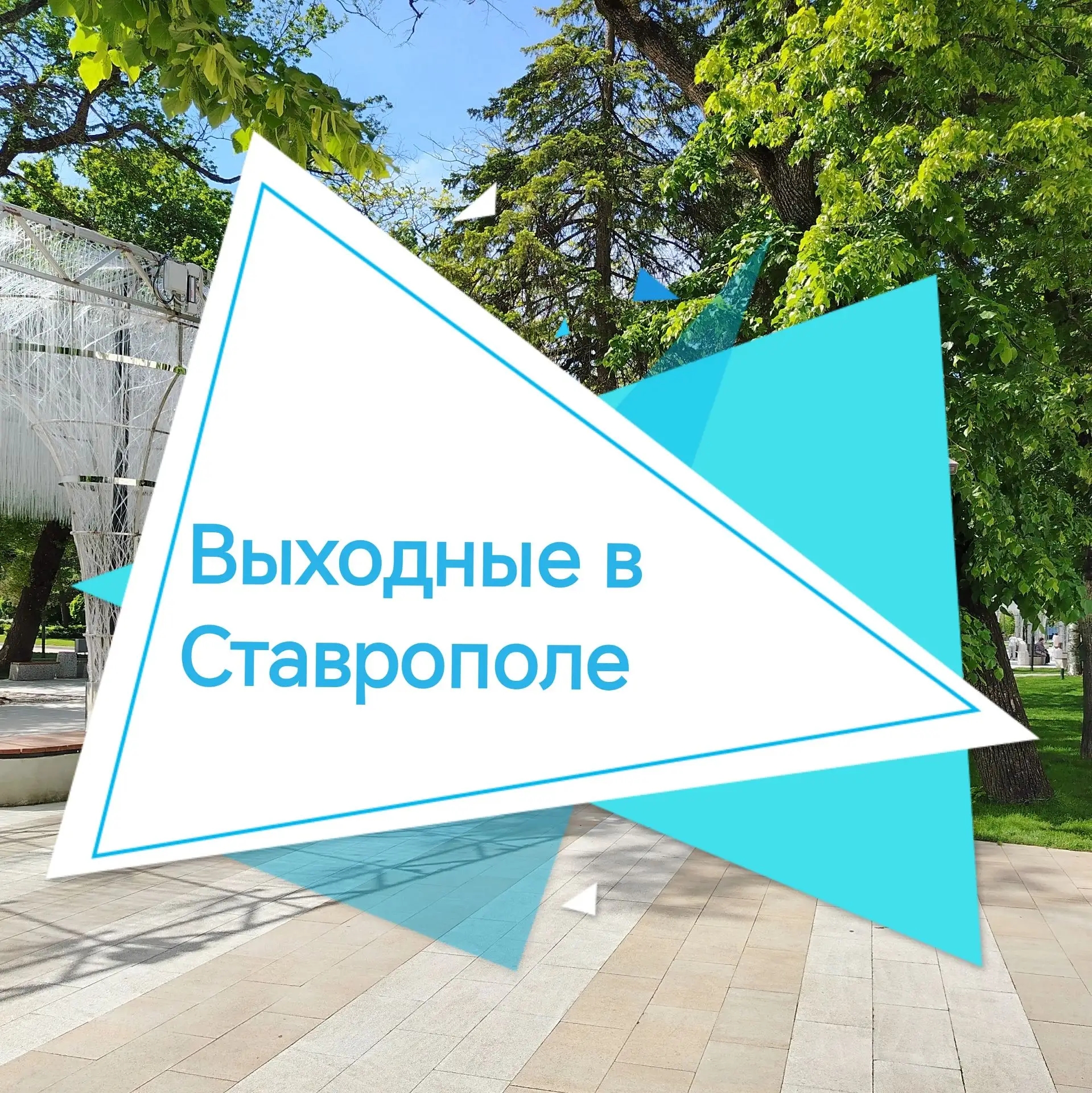 Выходные в Ставрополе: фестиваль кофе, цветы, выставки и концерты