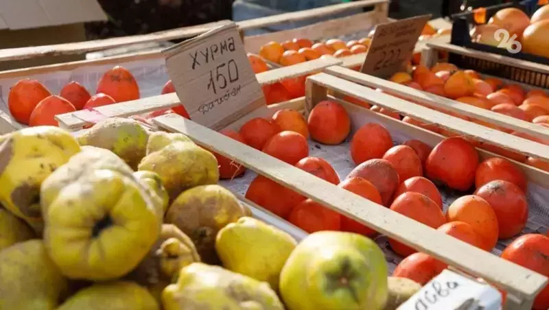 Минэк Ставрополья: доля армянской продукции в краевом импорте незначительна