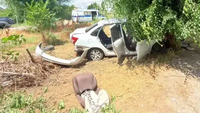 Водитель погиб, врезавшись в дерево в селе под Будённовском, пассажиры в больнице