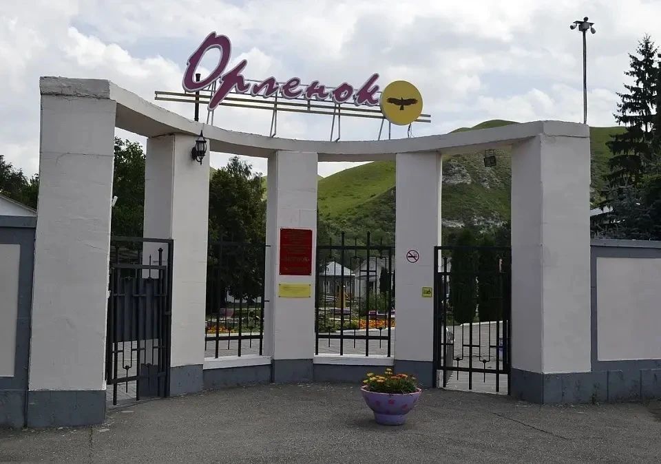Реабилитация детей в Новоселицком округе: «Орлёнок» принимает 22-дневные курсы