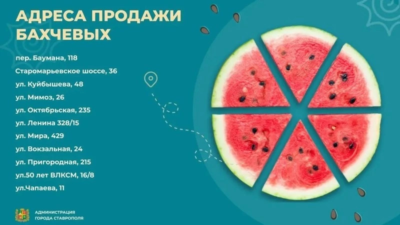 В Ставрополе открыли 11 официальных площадок по продаже арбузов и дынь