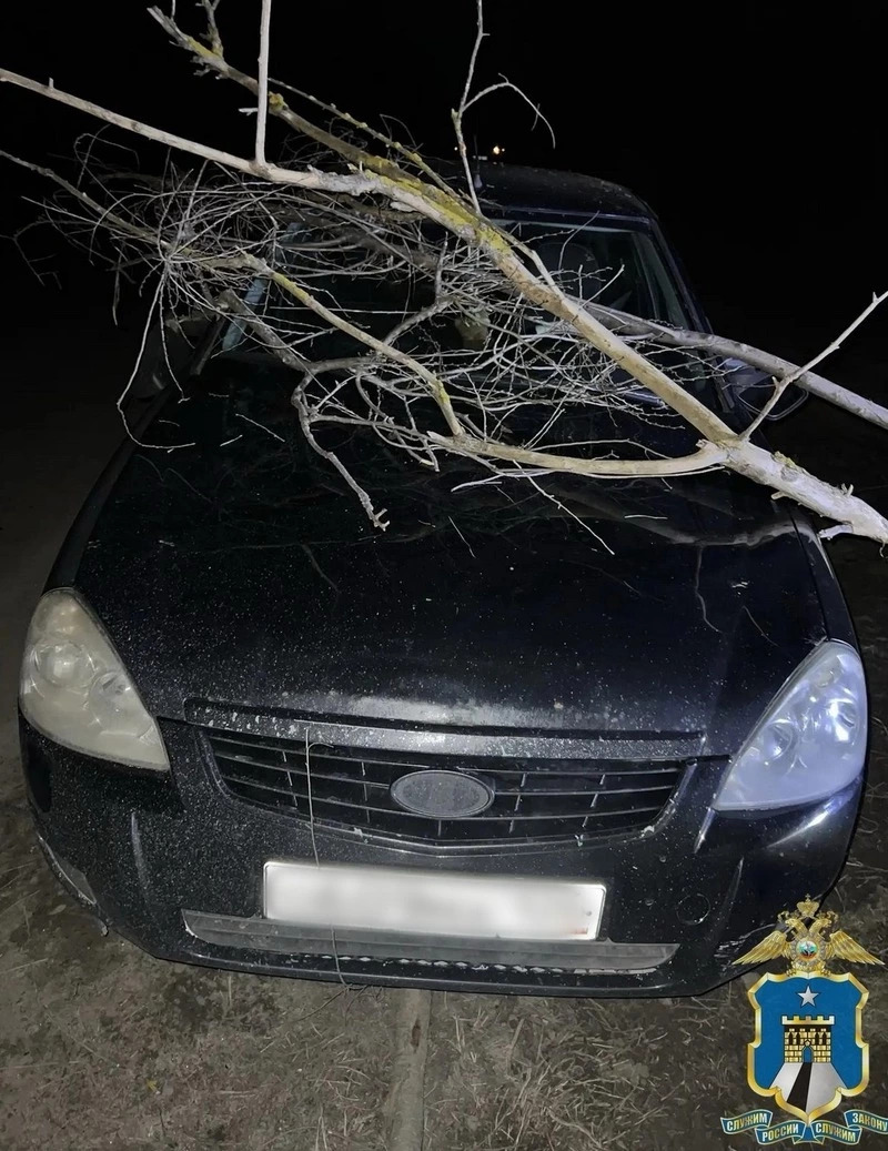 Ставропольчанка пойдёт под суд за повреждение автомобиля соседки сухими ветками
