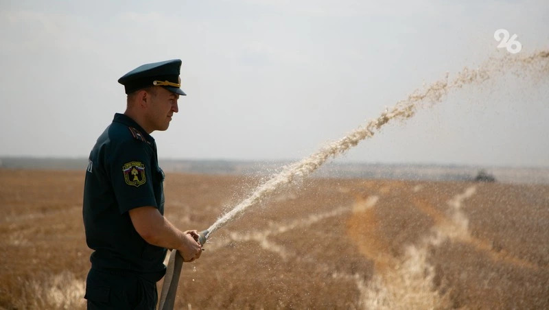 Сухостой горел 3 июля возле хутора Садового под Ставрополем