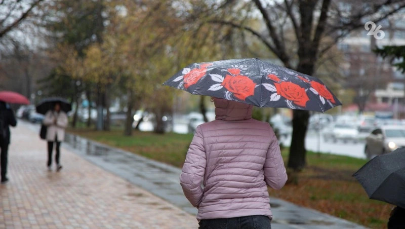 Из-за ливней и сильного ветра на Ставрополье ввели режим повышенной готовности