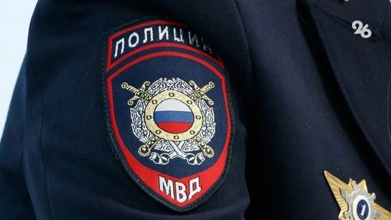 Полиция проверяет историю с похищением 4-летнего мальчика в парке Кисловодска