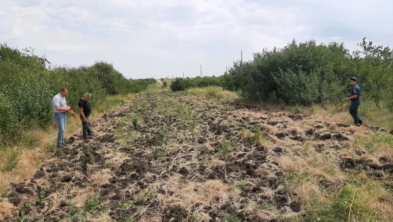 В Ставрополе обновили свыше 90 км минерализованных полос для защиты от пожаров