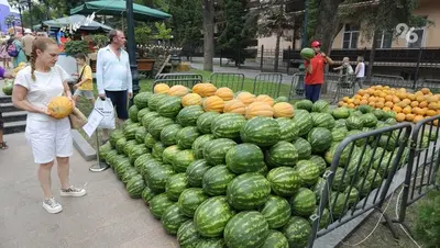 Арбузы и дыни выгоднее покупать в конце августа — агроэксперт