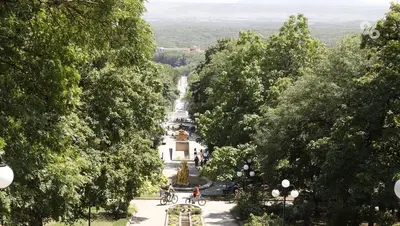В Железноводске не разрешили фотосессии с живыми орлами