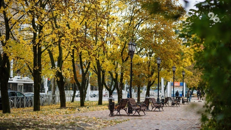 Аллергия обостряется в начале осени из-за сорных растений в воздухе — врач Усачёва