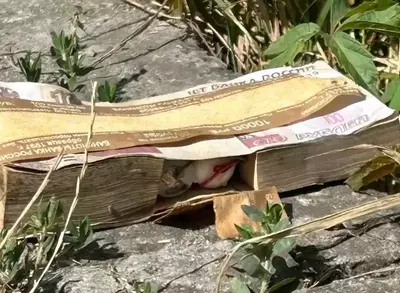 Замаскированную под пачку банкнот взрывчатку обезвреживают сапёры в Кавминводах