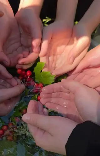 В Кисловодске почтили память жертв терактов акцией «Капля жизни»