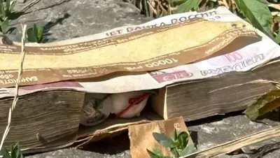 В пачке банкнот, которую обнаружили на улице Кавминвод, не нашли взрывчатку