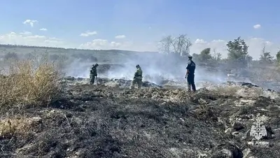 Запах гари в Пятигорске объяснили тлением травы и удобрений