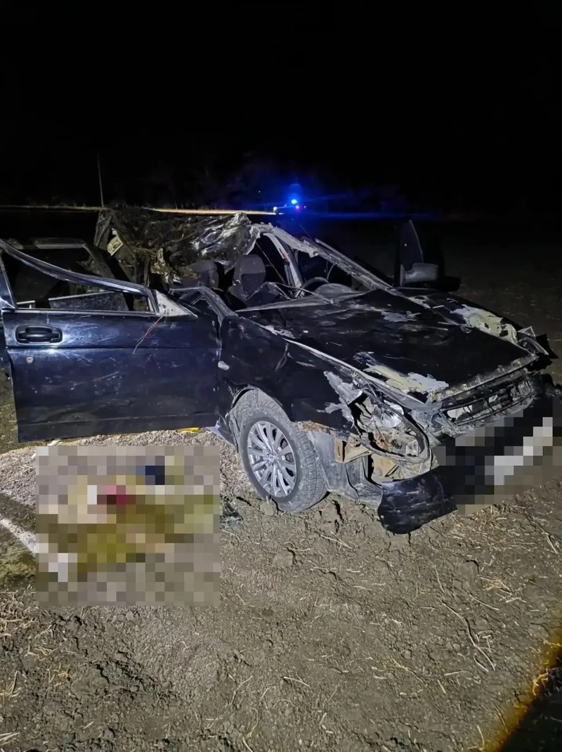 В Изобильненском округе водитель «Лады» сбил лошадь, в ДТП погиб пассажир
