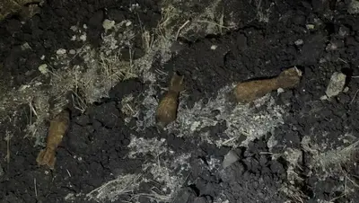 Под Железноводском нашли и уничтожили 16 миномётных боеприпасов времён ВОВ
