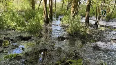 Коммунальщики возместят ущерб за сброс стоков в реку Калаус в Ставрополе