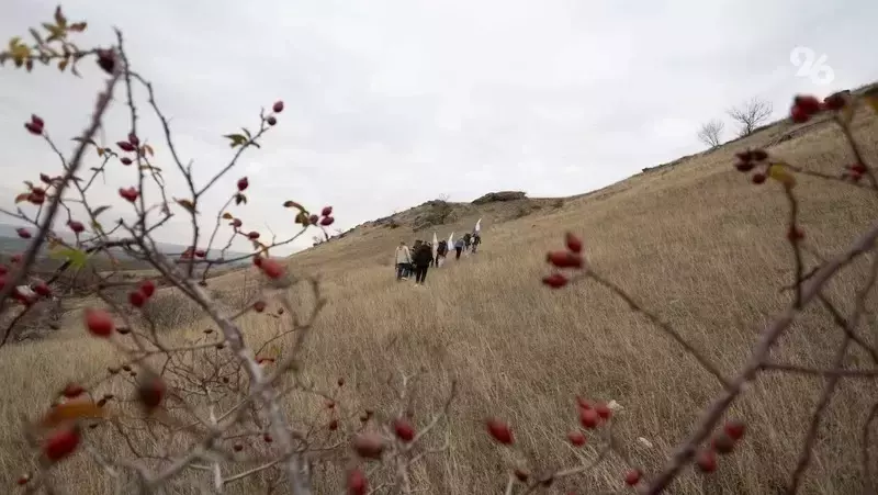 В Предгорье пять древних курганов взяли под государственную охрану